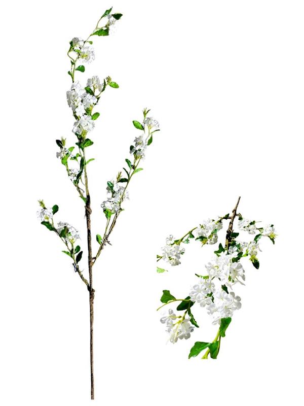 H150CM PLUMBAGO STEM WHITE
