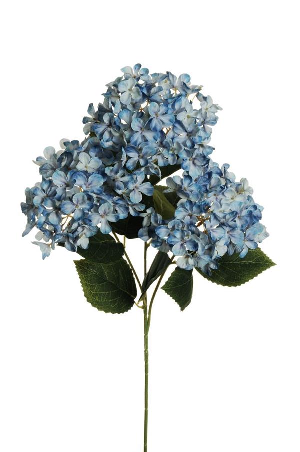 3D P.HYDRANGEA ARBORESCENS X3 W/10 LVS,70CM BLUE 80-467690