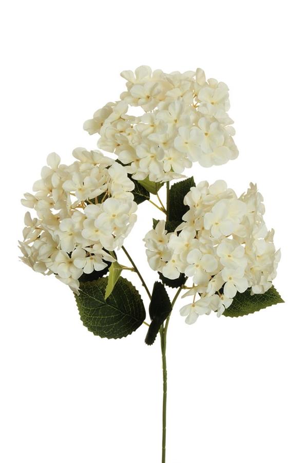 3D P.HYDRANGEA ARBORESCENS X3 W/10 LVS,70CM CREAM 80-467652