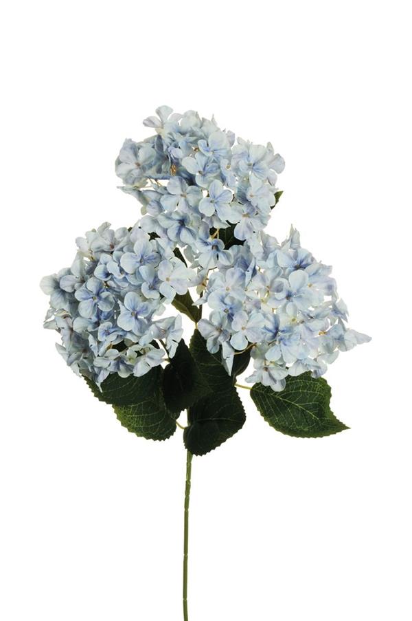 3D P.HYDRANGEA ARBORESCENS X3 W/10 LVS,70CM LT BLUE 80-467683