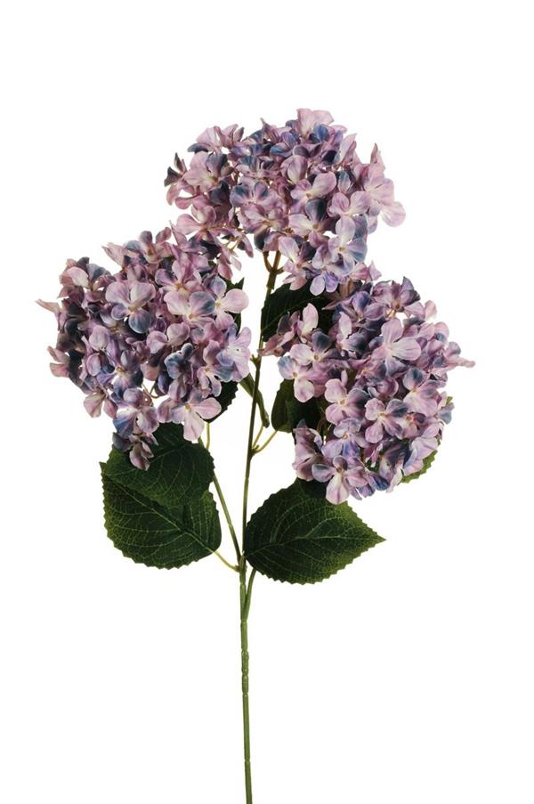 3D P.HYDRANGEA ARBORESCENS X3 W/10 LVS,70CM LAVANDER 80-467676