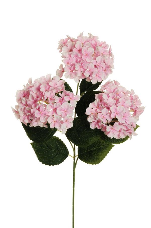 3D P.HYDRANGEA ARBORESCENS X3 W/10 LVS,70CM PINK 80-467669