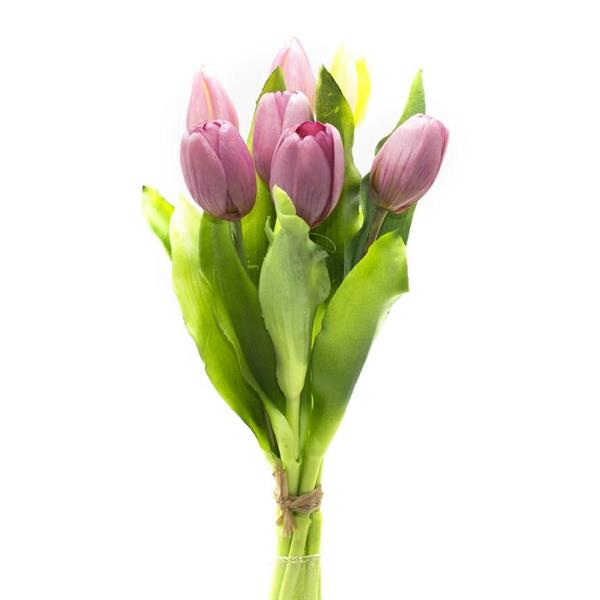 BUNCH X 7 TULIPANO H.29 CM **1/12/72** ROSA EM64/P