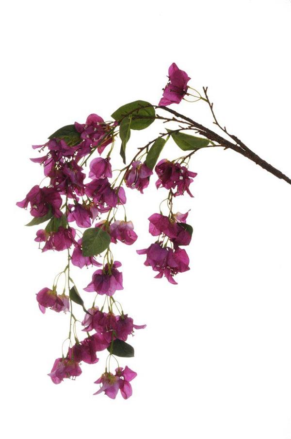 BOUGAINVILLEA BRANCH W/COATED 120 CM PURPLE *1/24/96* 80-340719