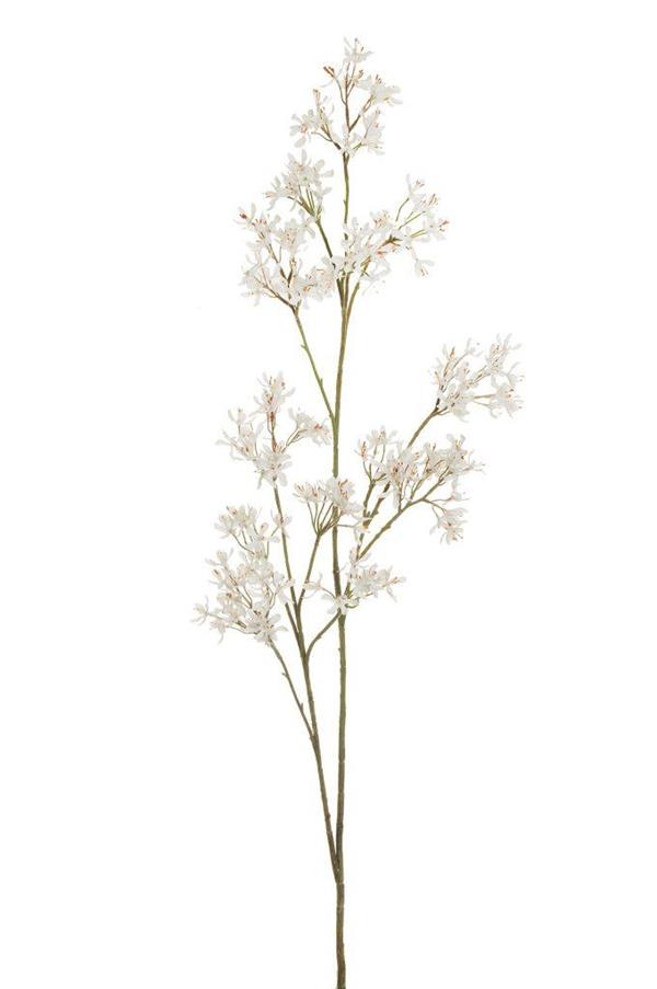 PETREA VOLUBILIS LONG BRANCH, 154 CM *1/12* CREAM 80-426680