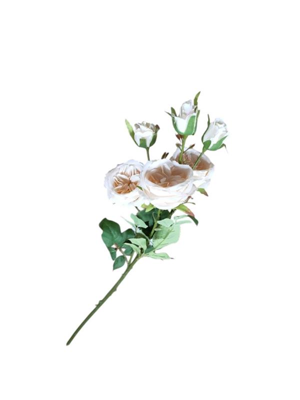 BUNCH PEONIA L.66CM *1/48/288* PEACH EM86/PC