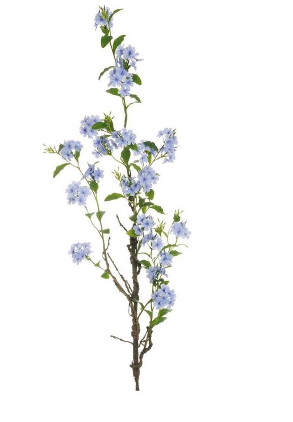 H150CM PLUMBAGO STEM BLUE
