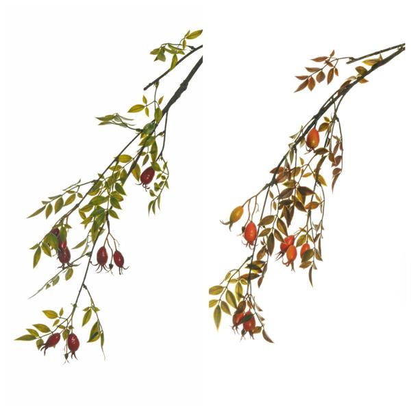 ROSEHIP SPRAY W/PLASTIC LVS