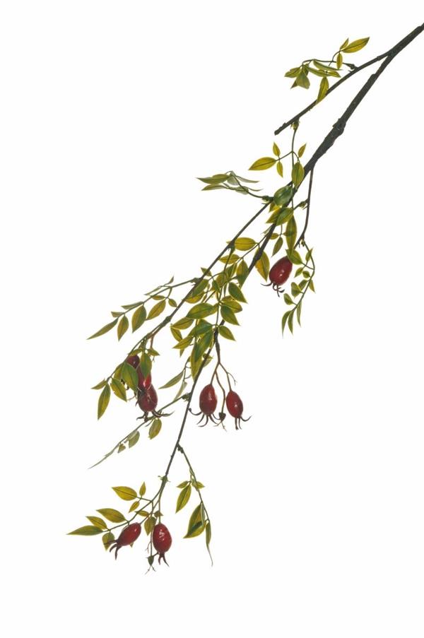 ROSEHIP SPRAY W/PLASTIC LVS RED 80-437495 *1/12*
