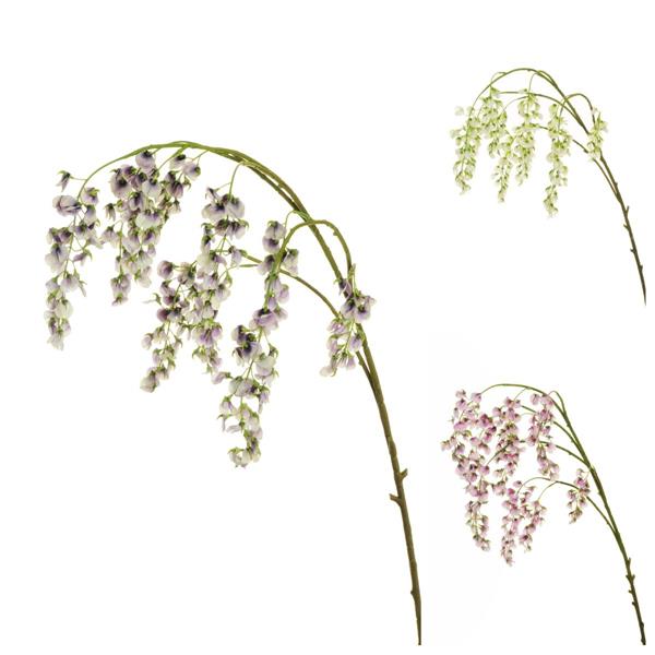 WISTERIA HANG.BRANCH W/COATED STEM,155 CM *1/12/60*