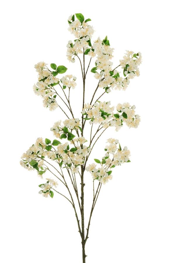 APPLE BLOSSOM GIANT BRANCH W/C ,190 CM.CREAM 80-466518 *1/4*