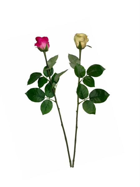 BACCARAT ROSE BUD