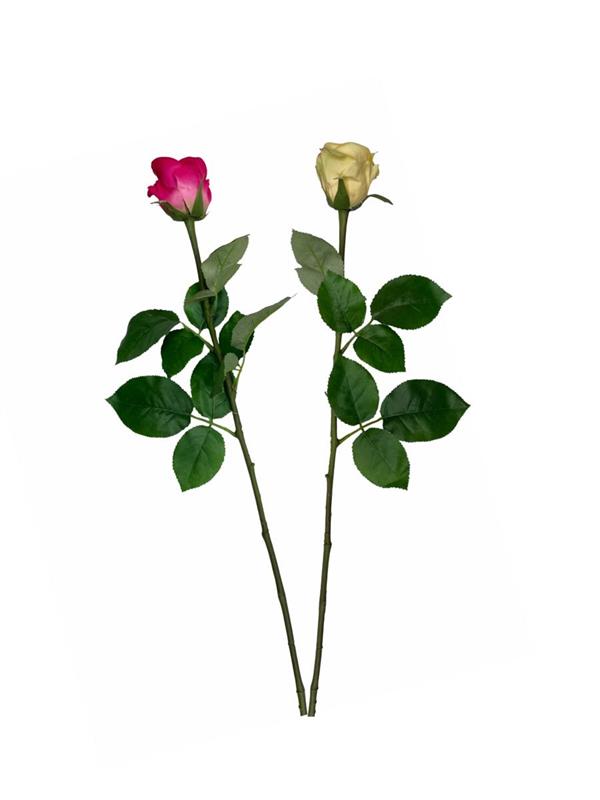 BACCARAT ROSE BUD