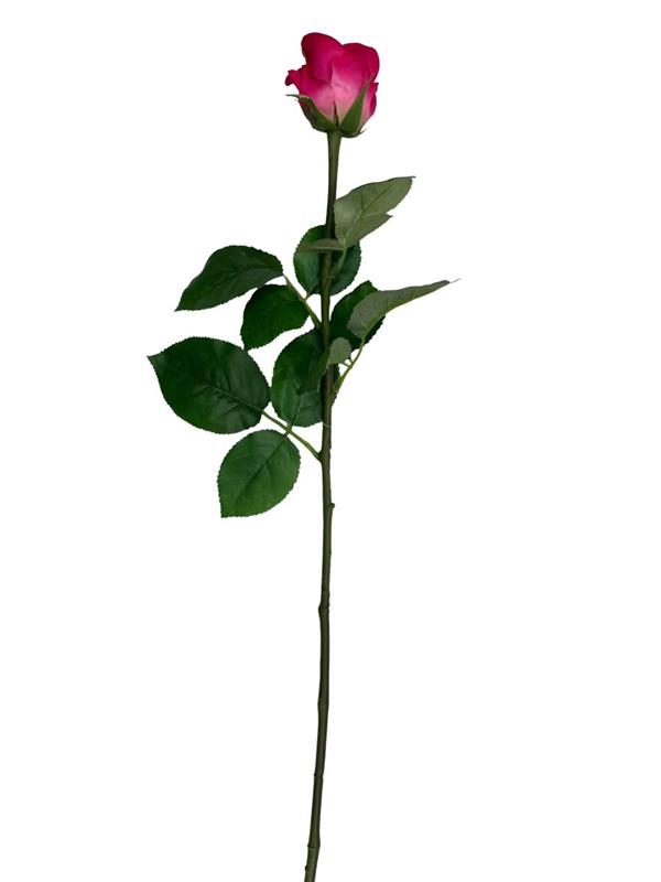 BACCARAT ROSE BUD FUCXIA