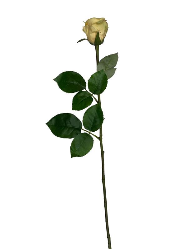 BACCARAT ROSE BUD YELLOW