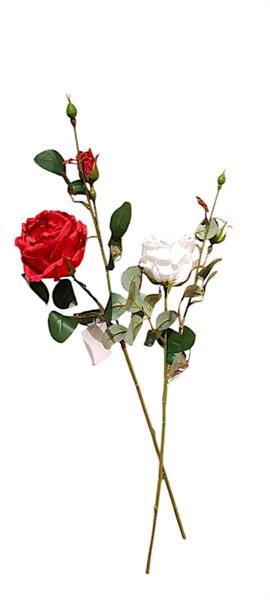 ENGLISH ROSE W/1 FLR & 2 BUDS