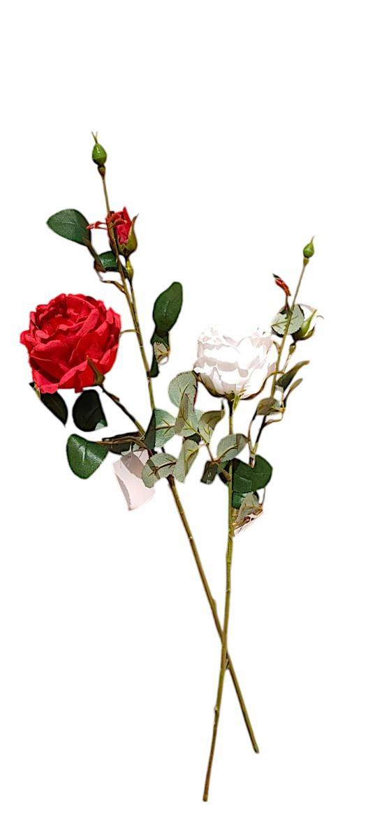 ENGLISH ROSE W/1 FLR & 2 BUDS
