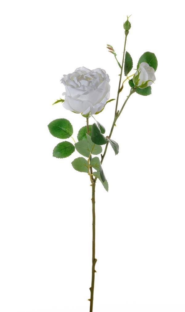 ENGLISH ROSE W/1 FLR & 2 BUDS CREAM