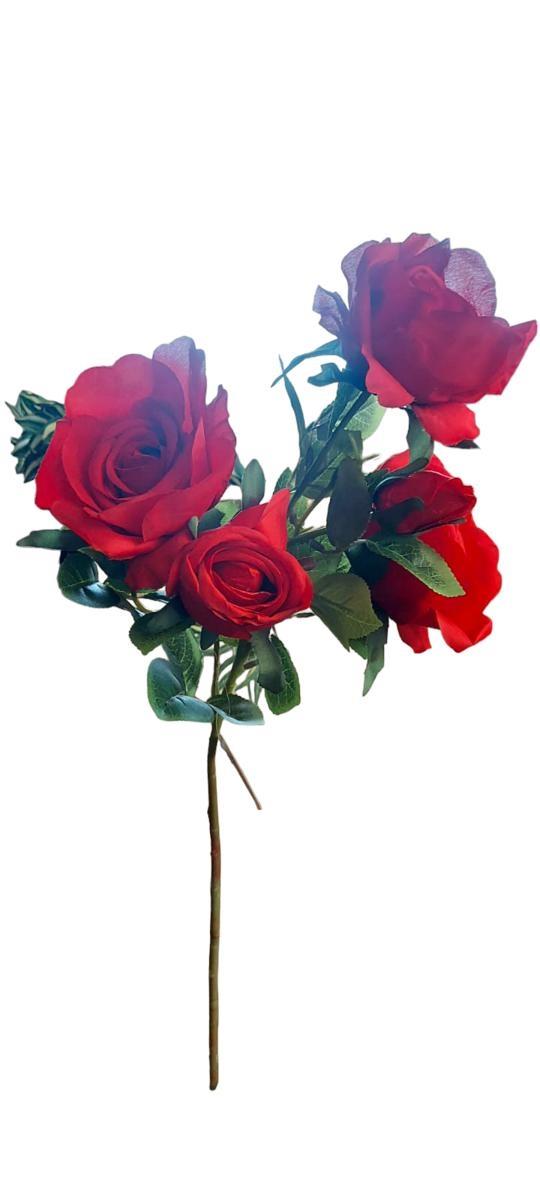 70CM EQUADOR ROSE SPRAY W/3 FLRS & 2 BUDS *1/12/96* RED