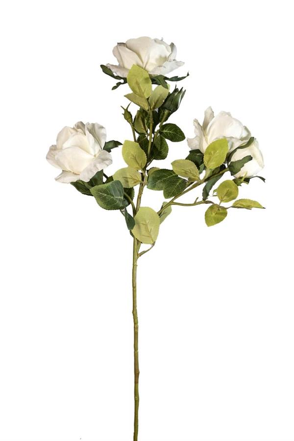 70CM EQUADOR ROSE SPRAY W/3 FLRS & 2 BUDS *1/12/96* WHITE