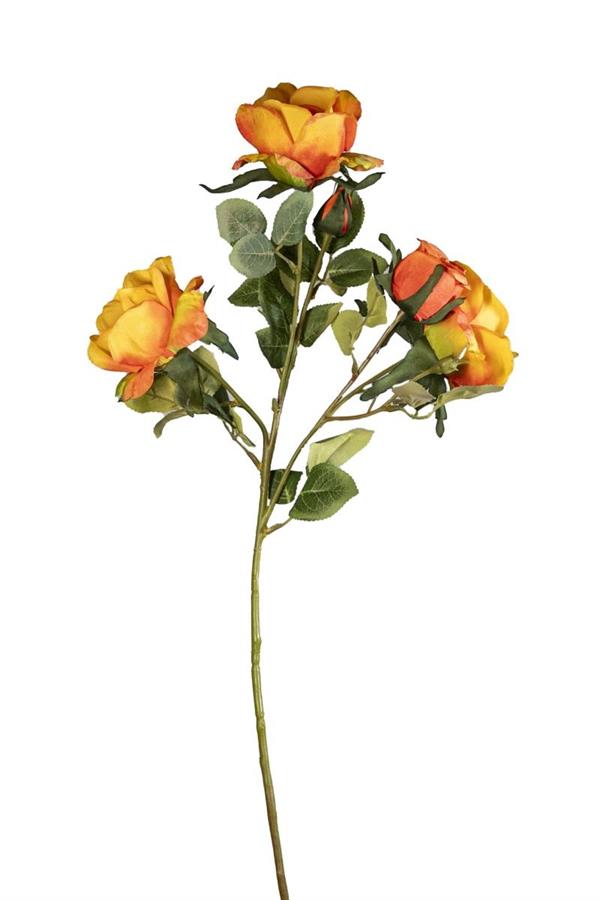 70CM EQUADOR ROSE SPRAY W/3 FLRS & 2 BUDS *1/12/96* ORANGE-YELL
