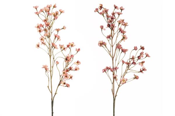 WAX FLOWER SPRAY X2,PINK/AUTUM LILAC 80-457592 *1/24*