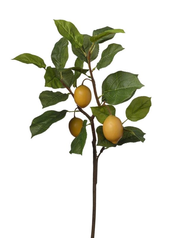 RAMO LIMONI CM 23X80 - YELLOW 1MV1023 *1/12/96*