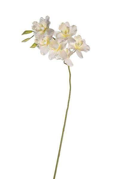 SINGAPORE ORCHID REAL TOUCH X6 53CM *1/24*