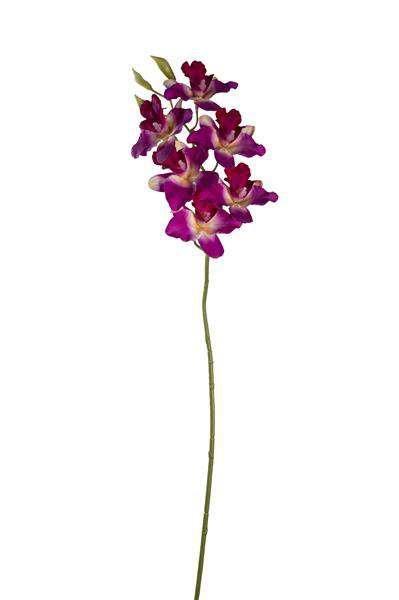 SINGAPORE ORCHID REAL TOUCH X6 53CM *1/24* PURPLE