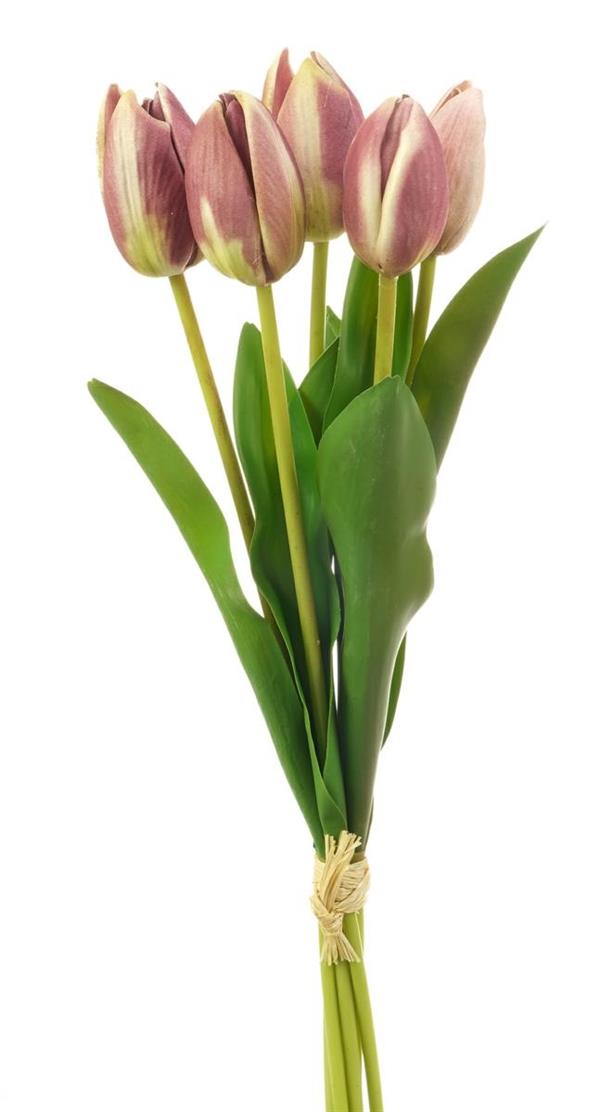40CM TULIPS BOUQUETS X5 PURPLE