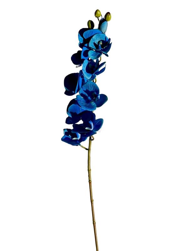 PHALAENOPSIS ORCHID SPRAY W/9 REAL  BLUE