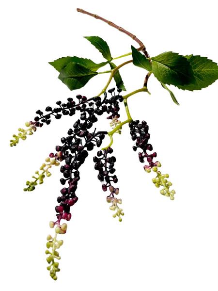 PHYTOLACCA HANGING BRANCH X2 W/SOFT