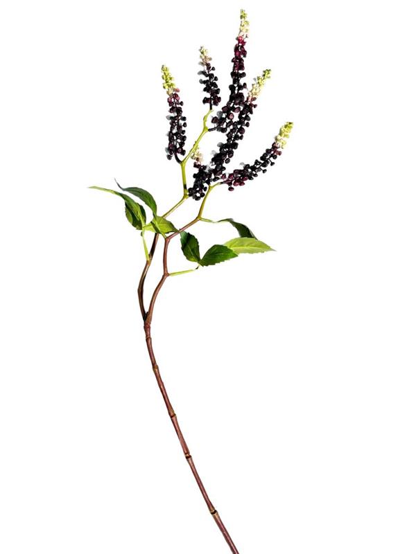 PHYTOLACCA HANGING BRANCH X2 W/SOFT DK PURPLE (80-371591) *1/12*