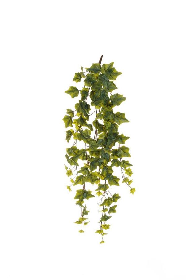 IVY HANGING BUSH X6 W/146 R/T LVS,85 CM FROSTED 80-413826 *1/12*