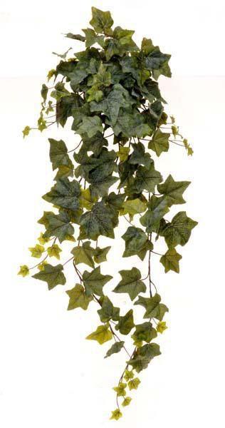 IVY HANGING BUSH X6 W/146 R/T LVS, 85 CM GREEN 80-413840 *1/12*