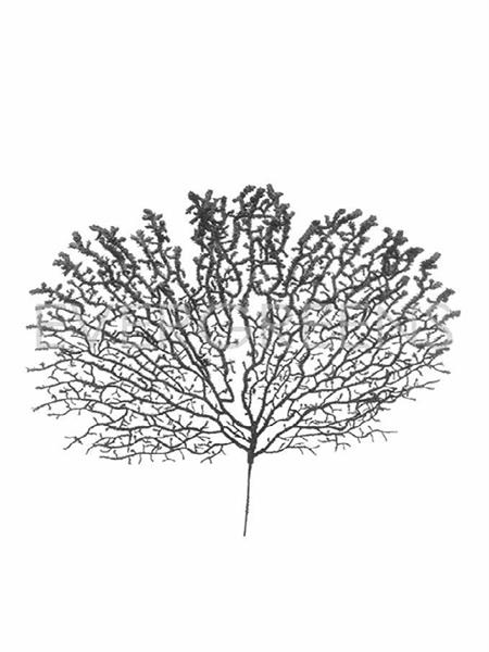 FLOCKED PLASTIC CORAL BRANCH, D. 45