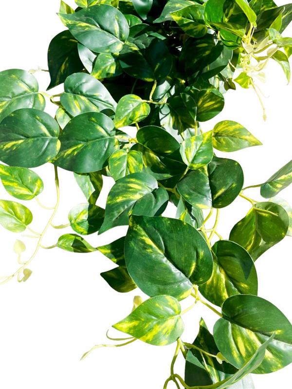 REAL TOUCH POTHOS BUSH VINE 120CM NATURAL *1/12*