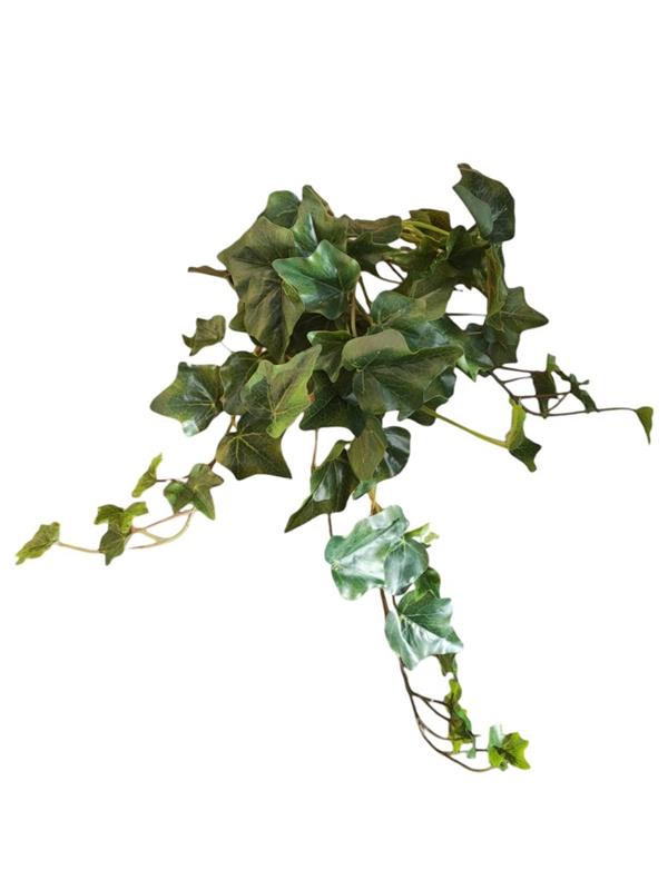 MINI IVY BUSH W/78 LVS *1/12/72* GREEN