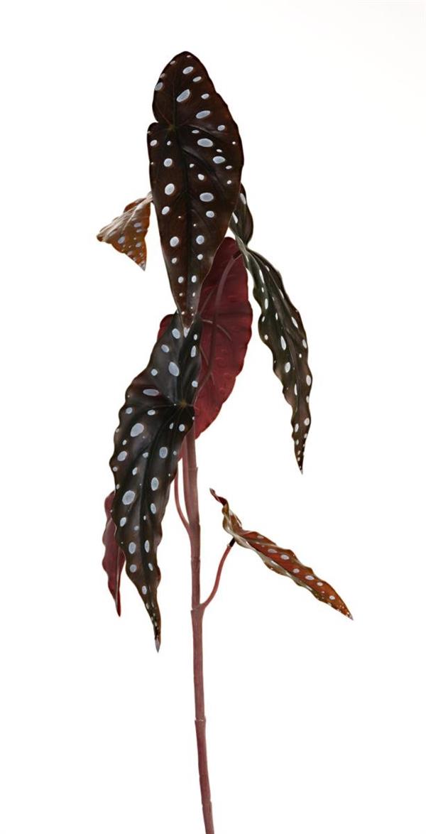 ACUBA BRANCH H.74CM *1/12*