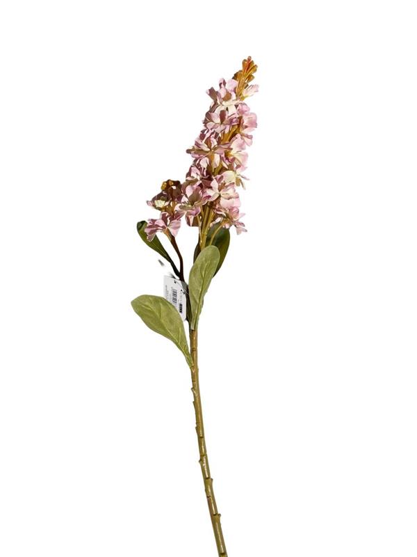 FLEMISH AUTUMN DELPHINIUM SPRAY MAUVE