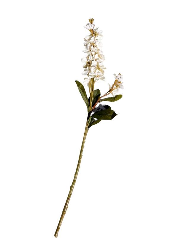 FLEMISH AUTUMN DELPHINIUM SPRAY SAND
