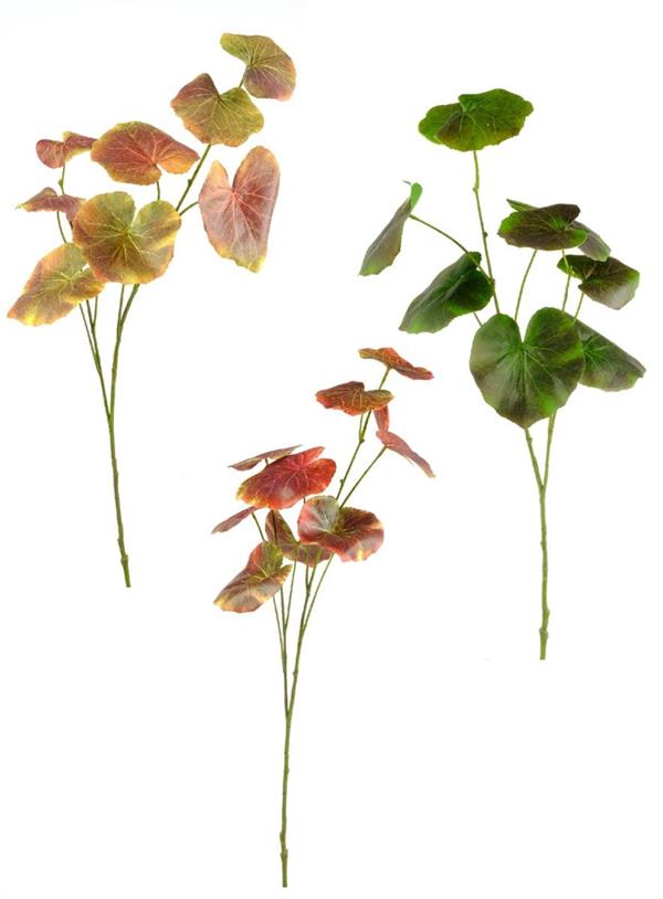 BEGONIA SPRAY W/9 LVS