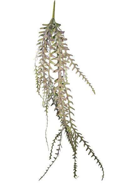 135CM TROPICAL FERN VINE