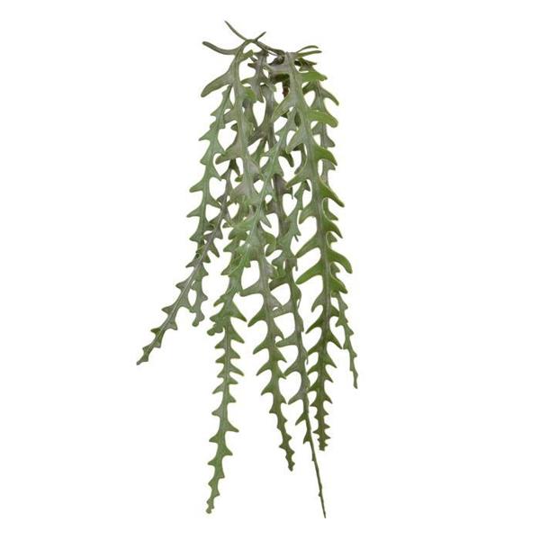 135CM TROPICAL FERN VINE *1/12/96* NATURAL