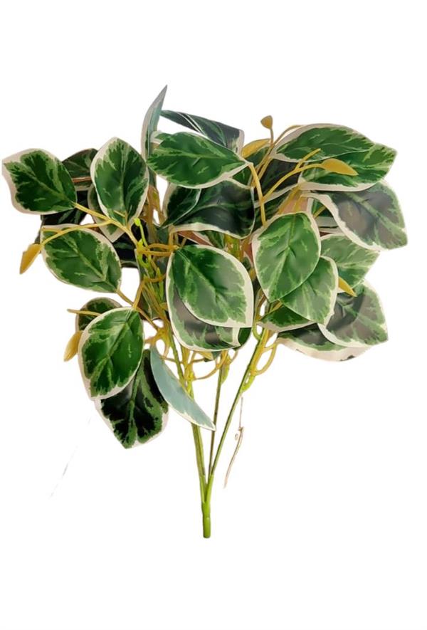 MAZZETTO COLEUS X4 30*35 CM
