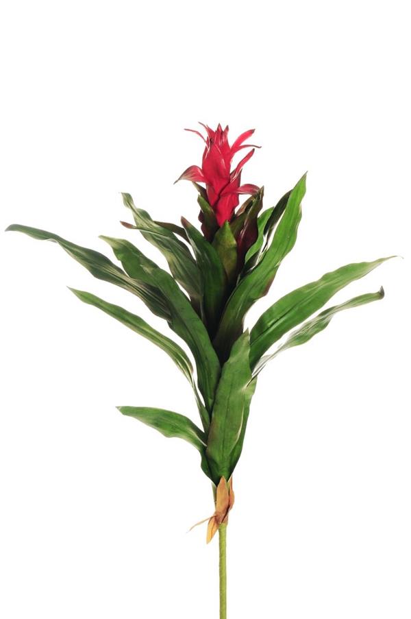 REAL TOUCH GUZMANIA PLANT RED 80-460486