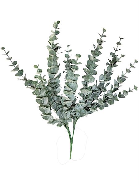 BUSH EUCALYPTO 58 CM VERDE *1/30/180*