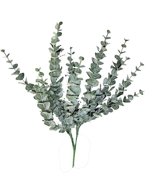 BUSH EUCALYPTO 58 CM VERDE *1/30/180*