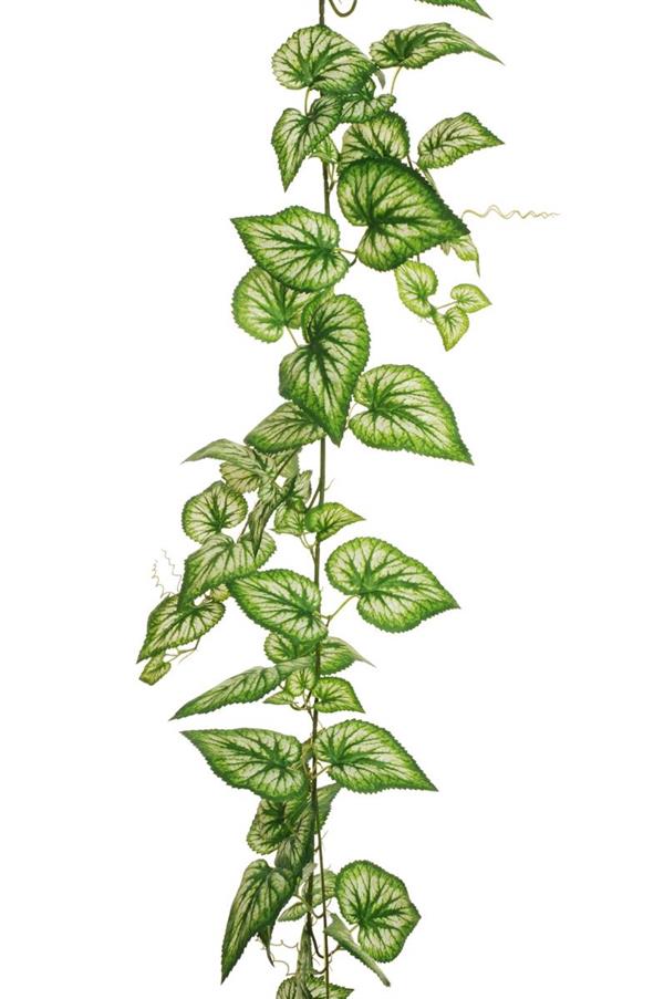 CALADIUM GARLAND, 180 CM GREEN 80-429179