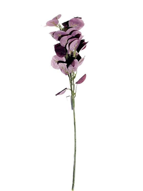 MONEY LEAF SPRAY X3 60 CM BURGUNDY *1/24